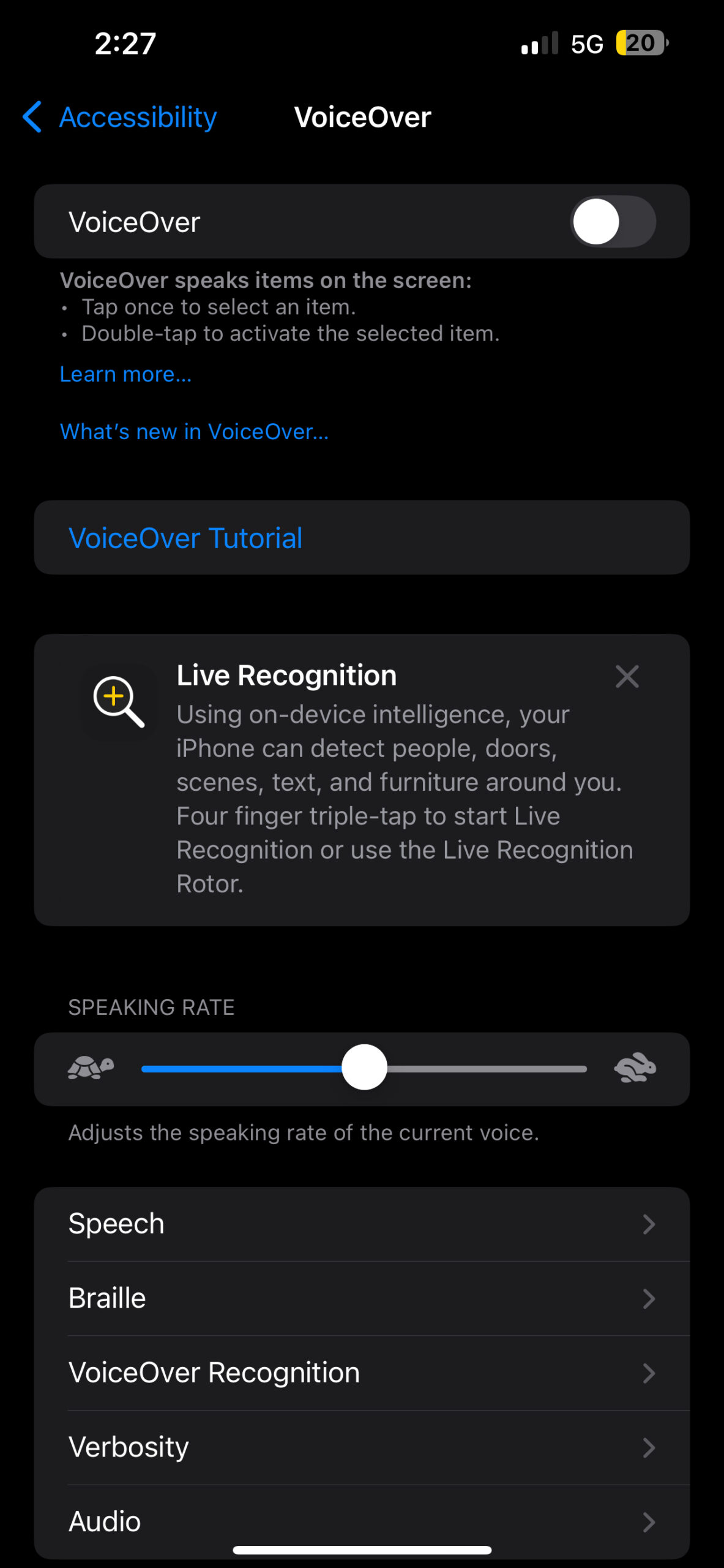 iPhone VoiceOver settings with the VoiceOver switch at the top and a Speaking Rate slider.