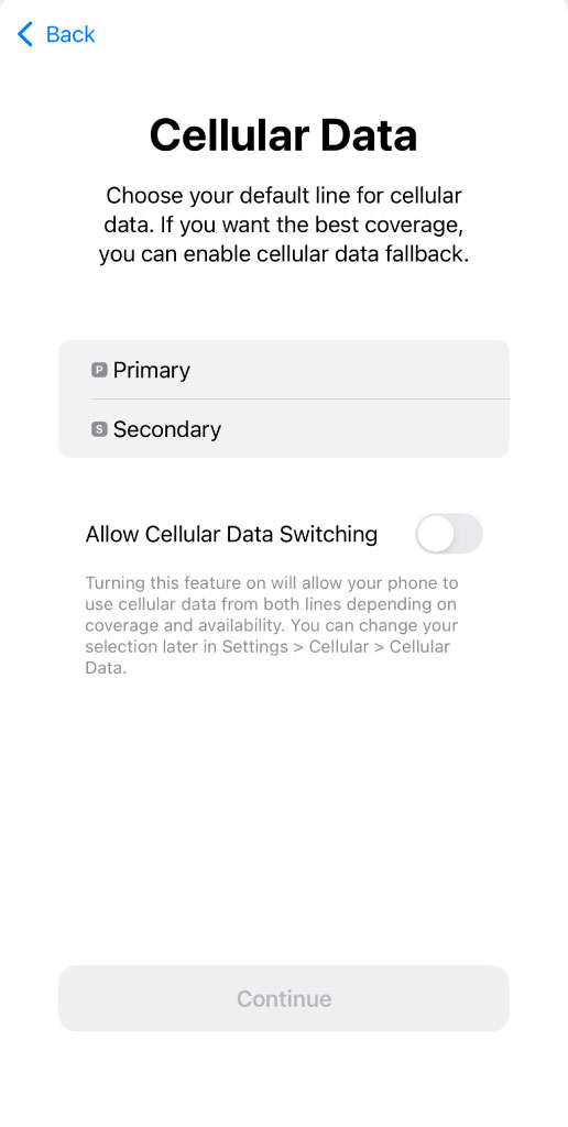 iPhone Cellular Data screen for choosing a default data line and allowing cellular data switching.