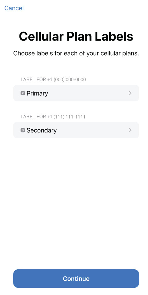 iPhone Cellular Plan Labels screen with Primary and Secondary labels.
